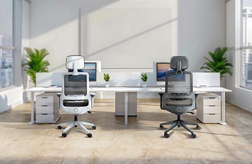 Ergonomic Chairs for Back Pain: Do They Really Work?